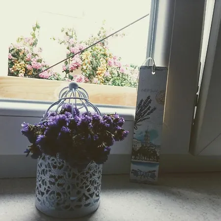 Apartament Elly