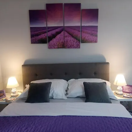 Appartement Elly *