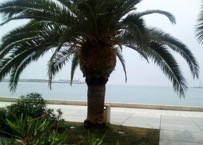 Lejlighed Elly Split